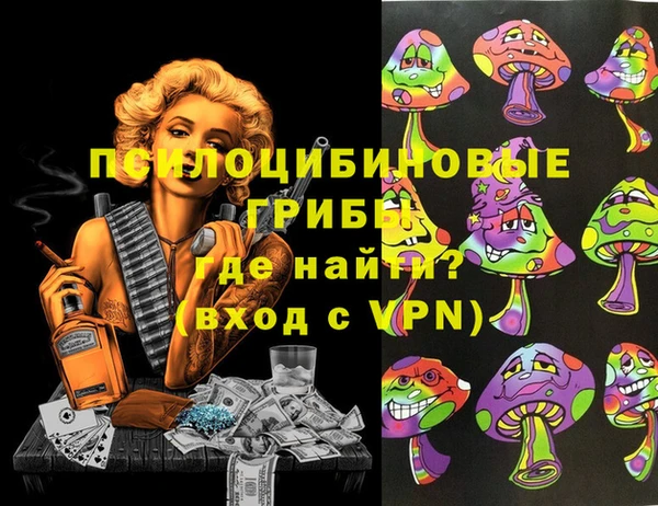 мдпв Алзамай