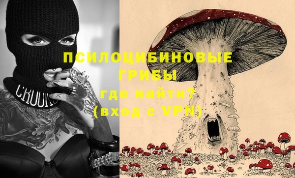мдпв Алзамай