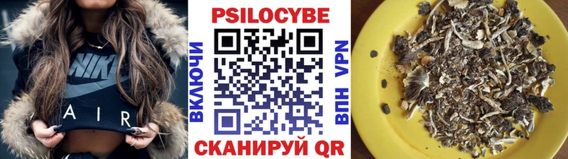 Галлюциногенные грибы Psilocybe  Чухлома 